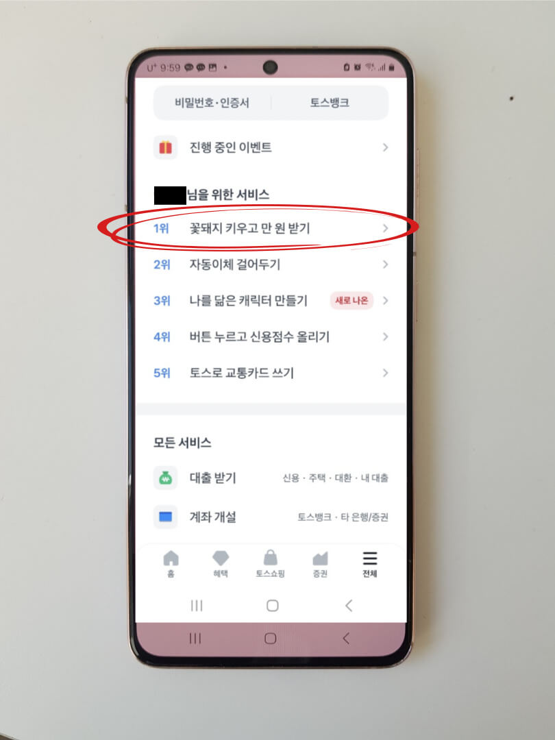 토스 꽃돼지