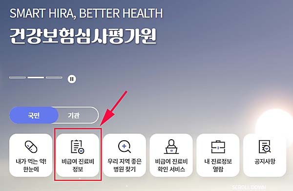 비급여-진료비-정보