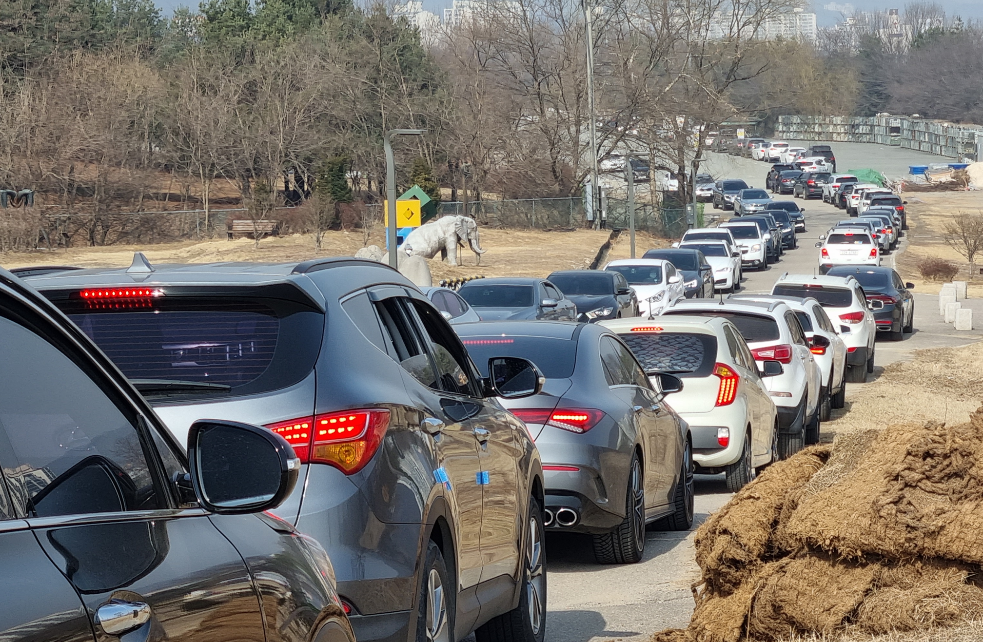 PCR 검사 기다리는 차량들