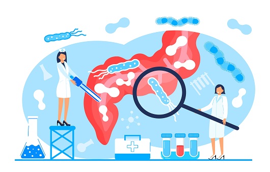 유산균과 면역력