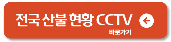 산불 현황 실시간 확인 방법 CCTV로 경로까지 한눈에1