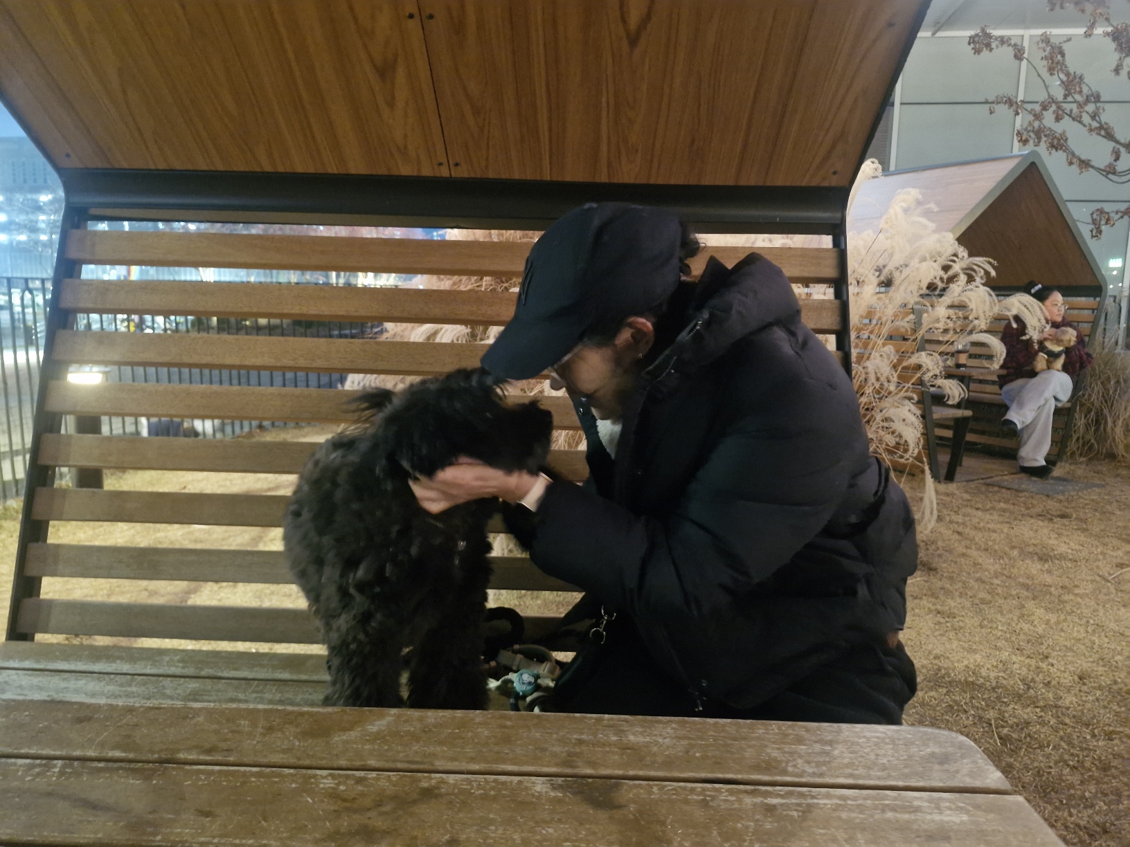 강아지 배변전 빙빙도는 이유 11가지