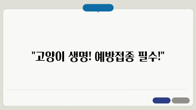 반려동물 고양이 예방접종