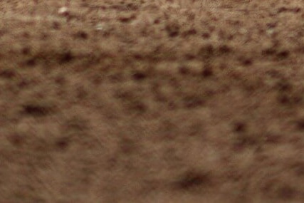 2025 KBO 프로야구 시범경기 일정 및 티켓 예매 방법 총정리