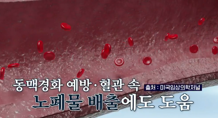 아르기닌의 효능