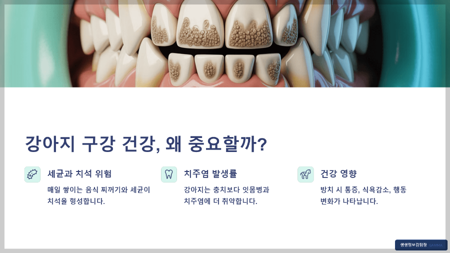 강아지 전용 칫솔 세트 후기 – 구강 건강 지키는 첫걸음