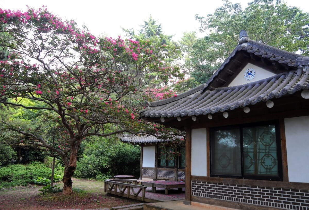 감성 기차여행, 이제는 혜택 받고 떠나세요.