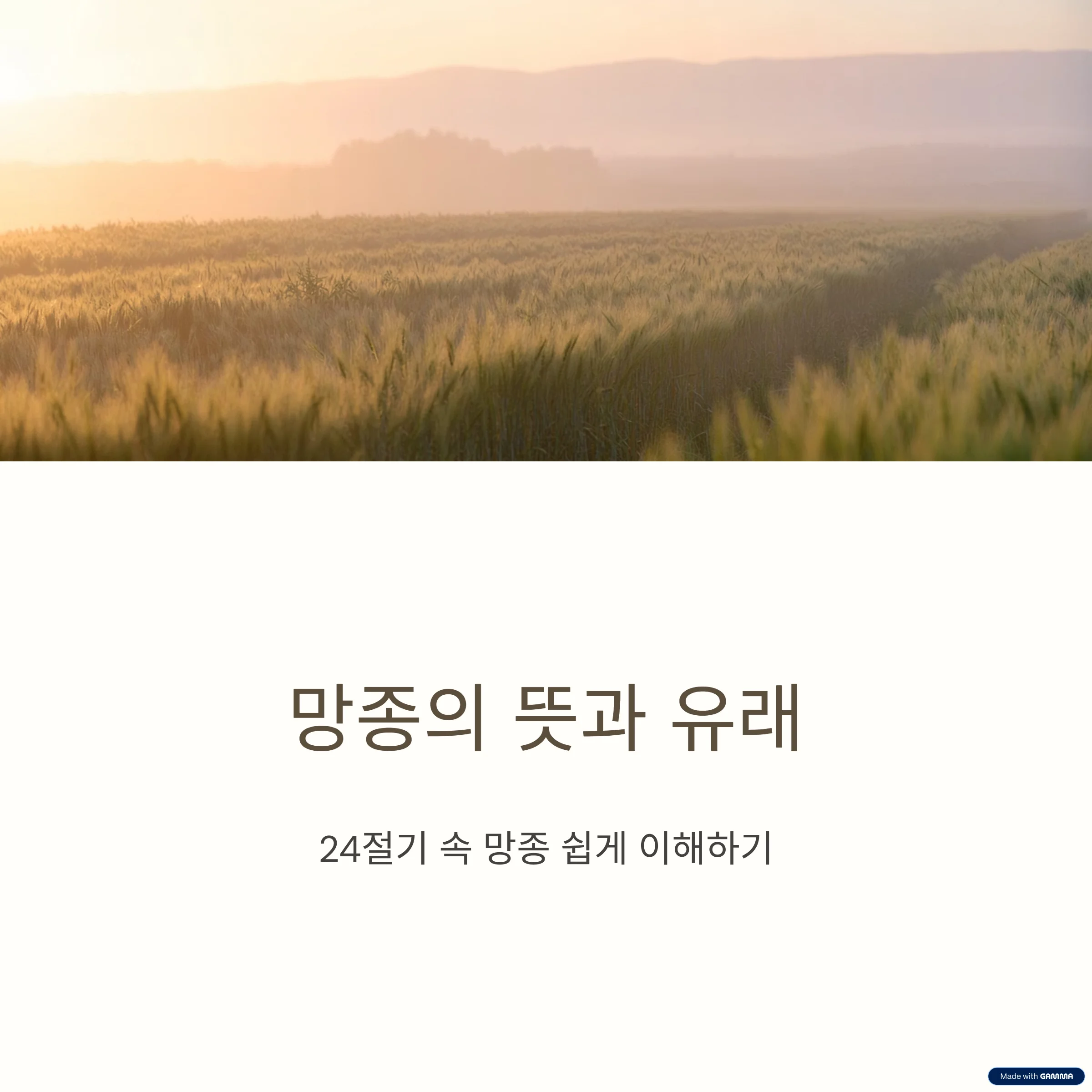 망종의-뜻-이해하기