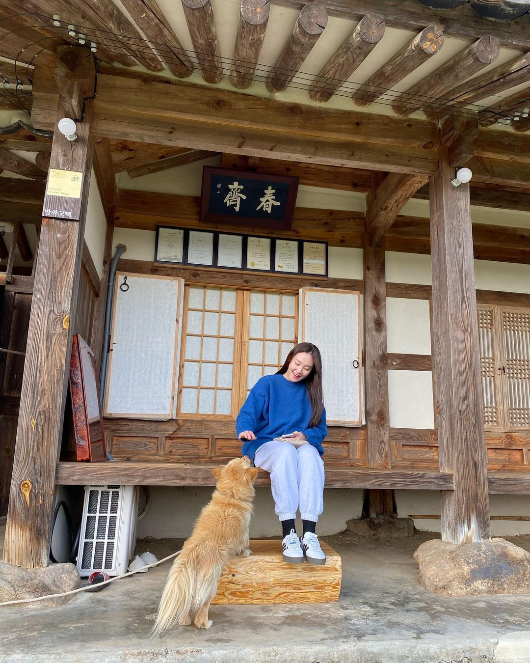 이영은 아나운서