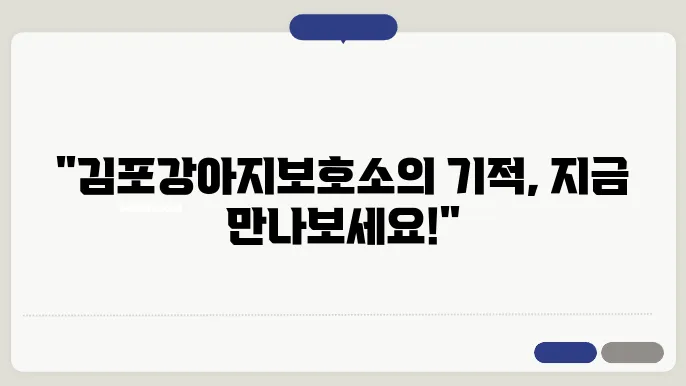 김포강아지보호소 언제든지 편안해요