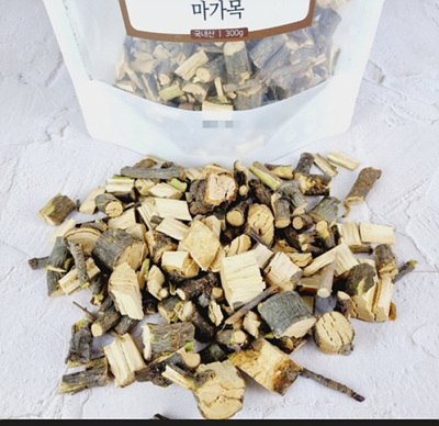 마가목 나무 사진