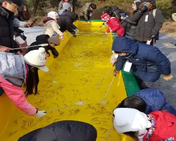 양평 수미마을 빙송어축제_12