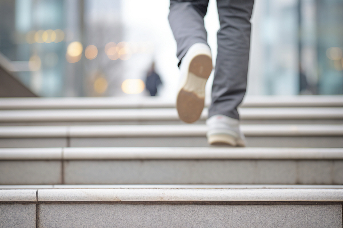 보스웰리아 효능