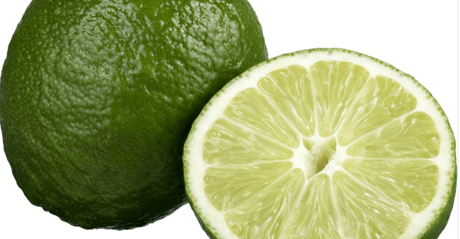 라임 사진 - 2