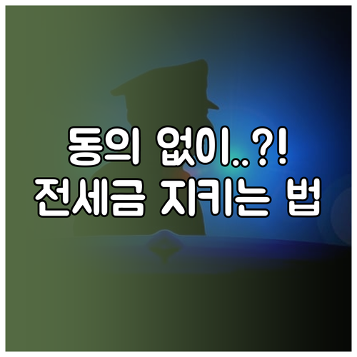 집주인 동의 없이 전세보증보험 단독 ..