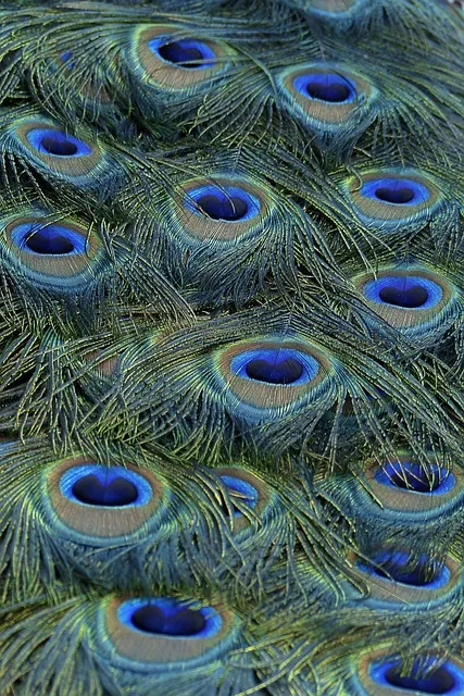 생생정보 라면카페 놀면라면카페 위치 예약 꿀팁_1