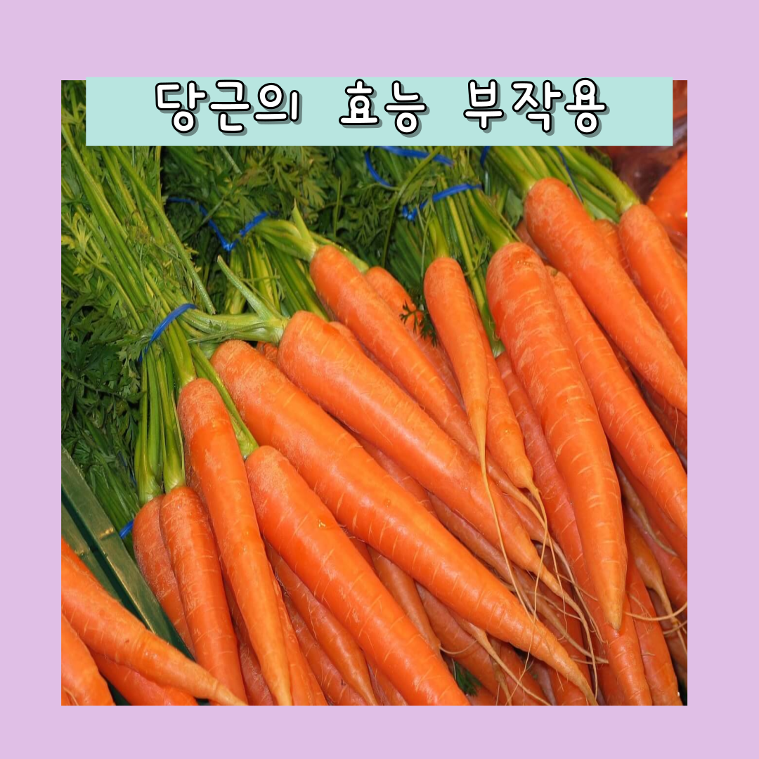 당근의 효능 부작용