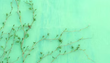 세계에서 난리난 창업아이템 알아보기