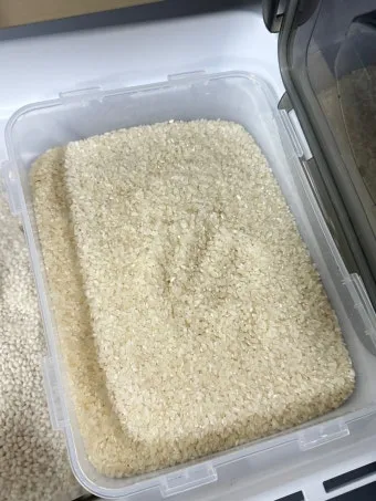쌀 보관 김치냉장고 벌레 페트병 건식 보관 요령_5