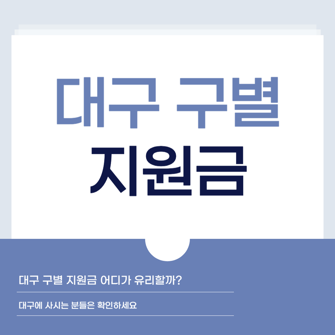 대구 구별 지원금