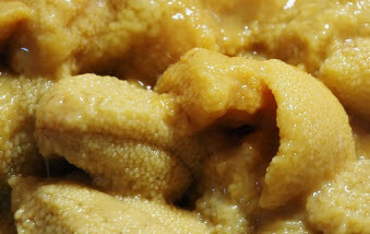 성게알-이미지-2