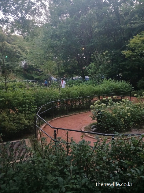 숲속 황토길을 걸으며 하체 근육 강화와 올바른 보행 습관을 실천하는 모습