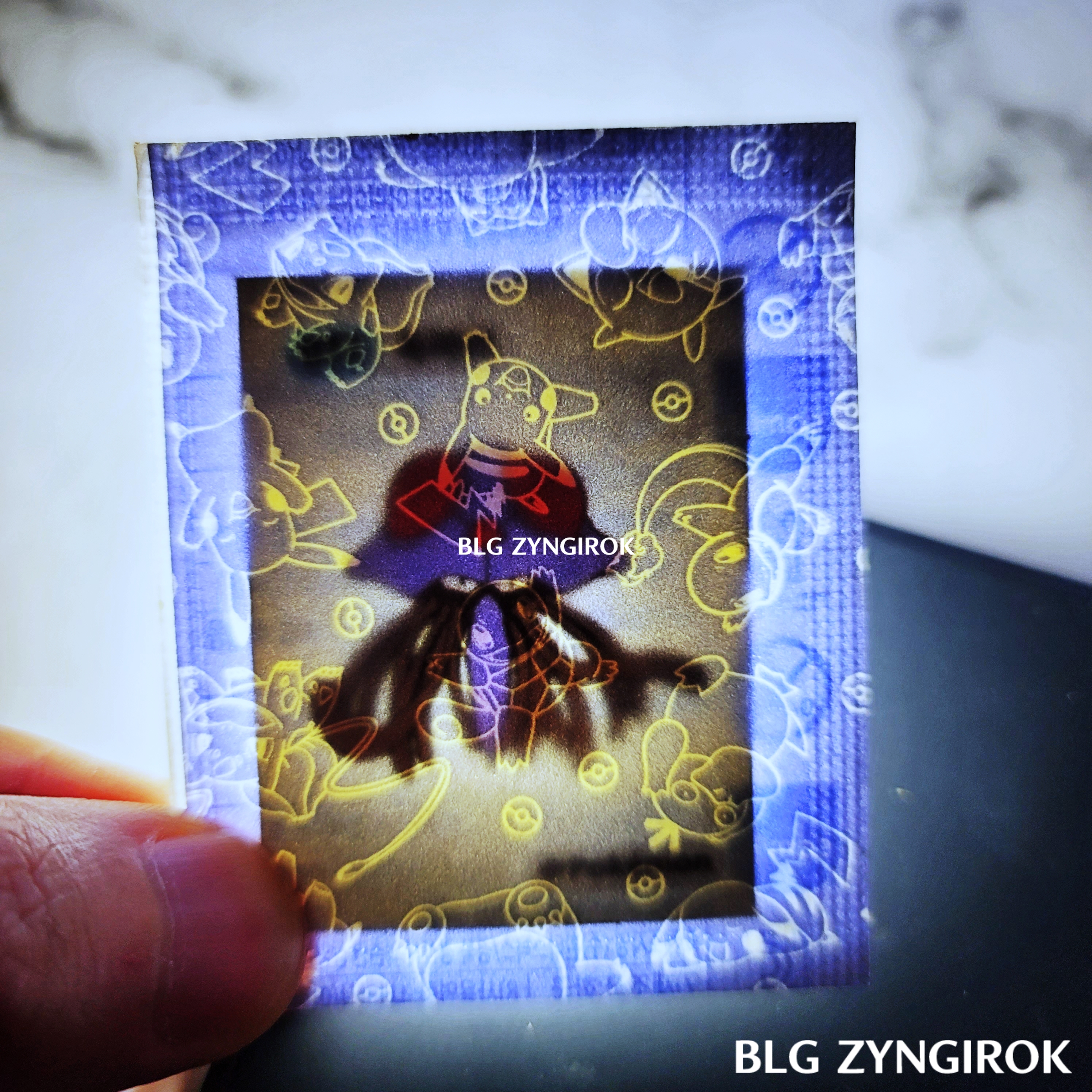 띠부띠부씰-독파리를-들고있다.