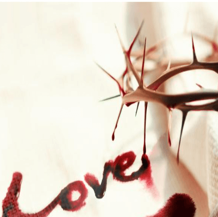 피로-사랑이라고-쓴-썸네일이미지