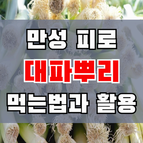 만성 피로에 좋은 대파뿌리 효능