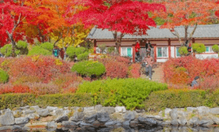 기차여행 단풍특선 추천