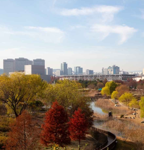 대전 가볼만한곳 베스트10