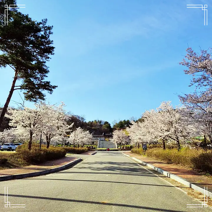 생방송오늘저녁 율무 식혜 조리퐁 율무퐁 라떼 팥죽 찰떡 1,800개 장독이 있는 한옥 카페 경기 연천 맛집 추천