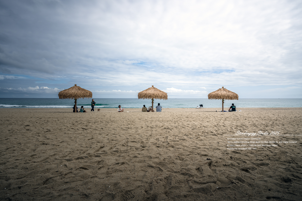 #양양 #낙산 #낙산해변 #해변 #바다 #카페