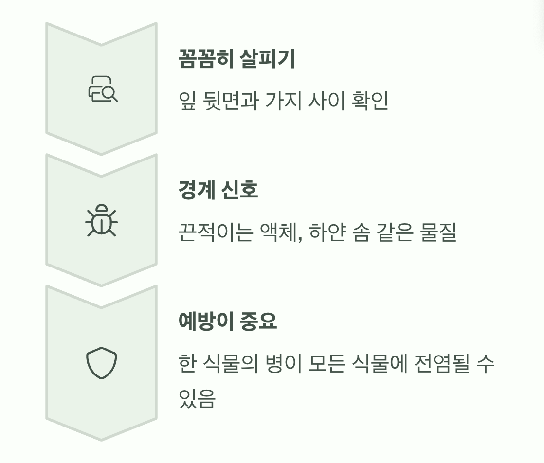 네 번째, 병충해 흔적은 없는지 확인하기