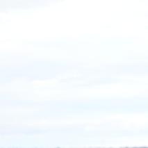 일론 머스크 창당이 테슬라 주가에 미치는 영향