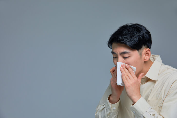 퀘르세틴 양파껍질 효능