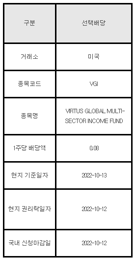 미국주식 선택배당 안내 VGI