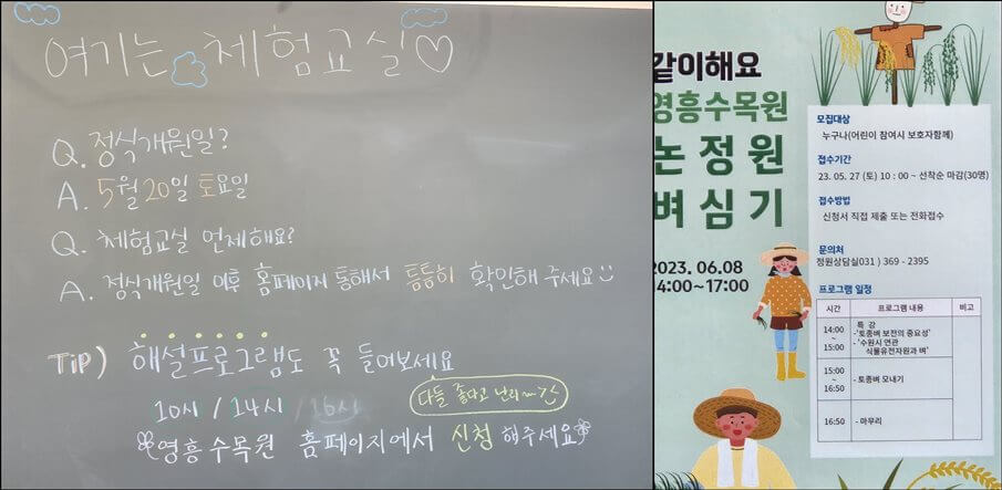 영흥수목원 -체험- 프로그램