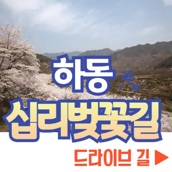 하동 십리벚꽃길 드라이브