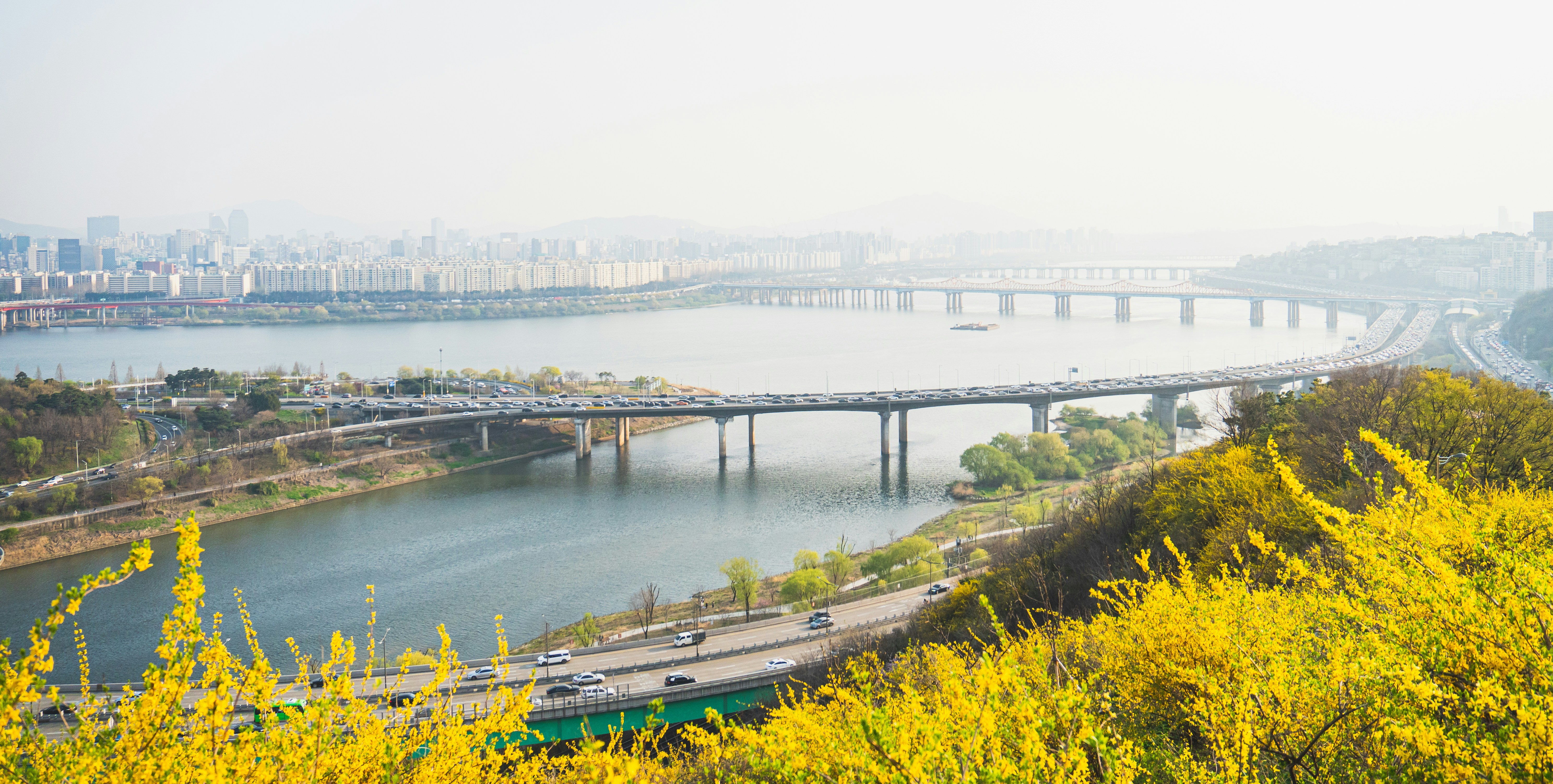 서울&middot;경기 봄꽃 개화 시기