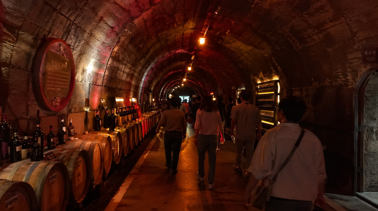 경북 청도 와인터널 내부 조명 아래 줄지어 늘어선 와인 숙성 통과 붉은 조명 풍경