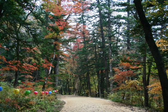 평창 가볼만한곳