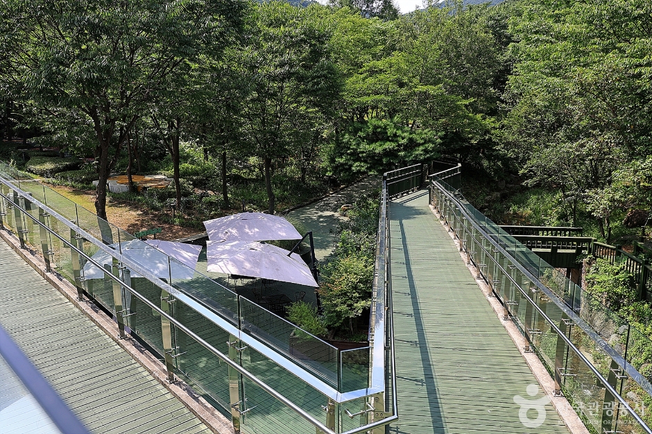 성남 가볼만한곳 베스트10