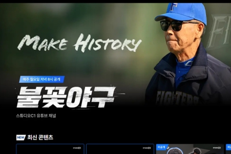 불꽃야구 직관 예매 서울