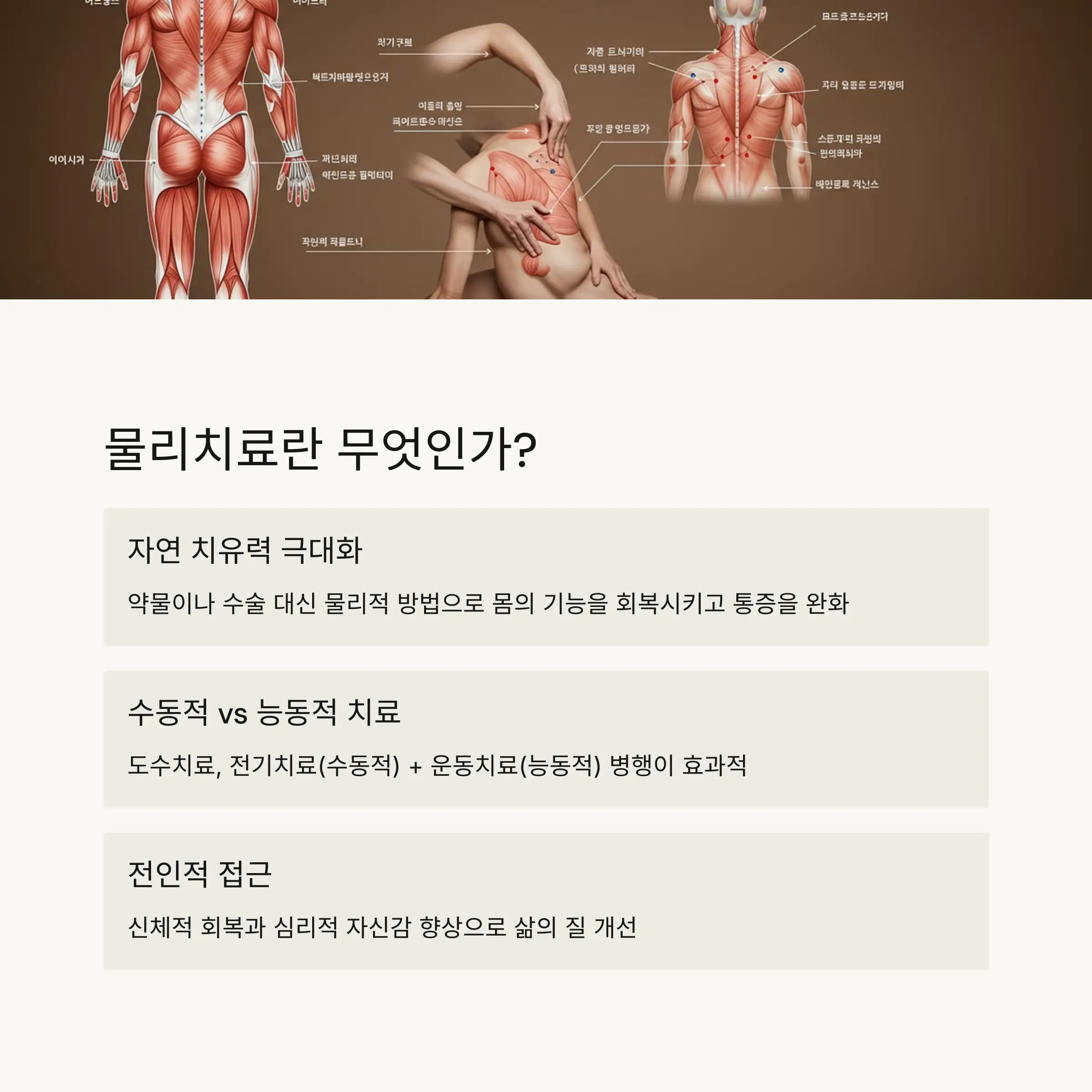💡 물리치료의 기본 개념과 원리