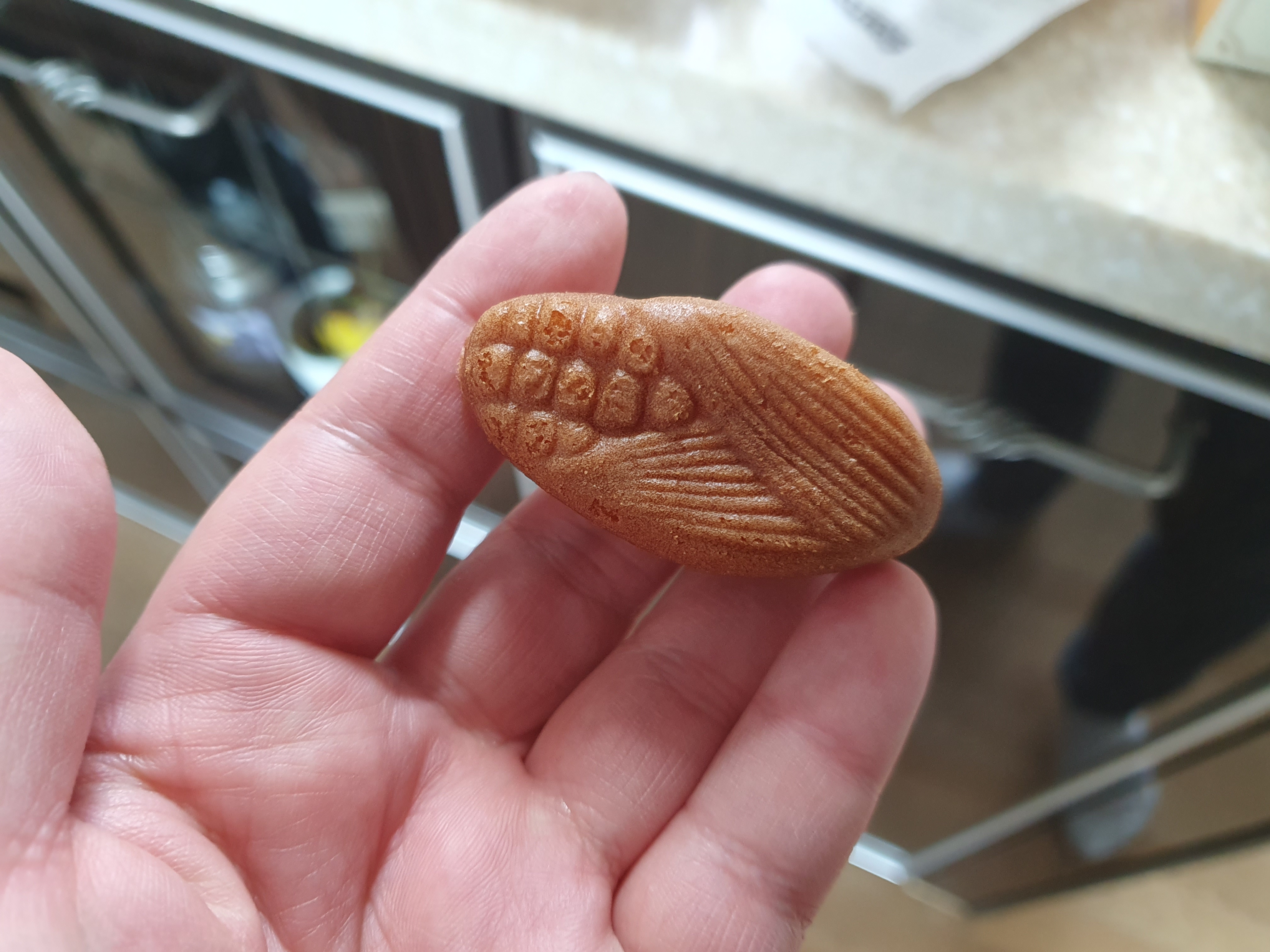 대전 델리만쥬 잘 구워짐 ㅎㅎ