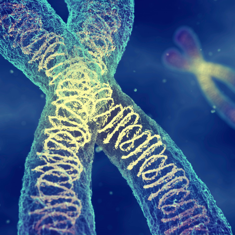 강직성 척추염 원인과 치료법