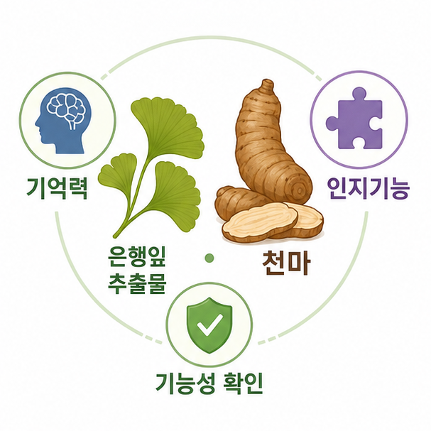 은행잎과 천마 아이콘으로 기억력·인지기능 관련 기능성을 설명한 이미지