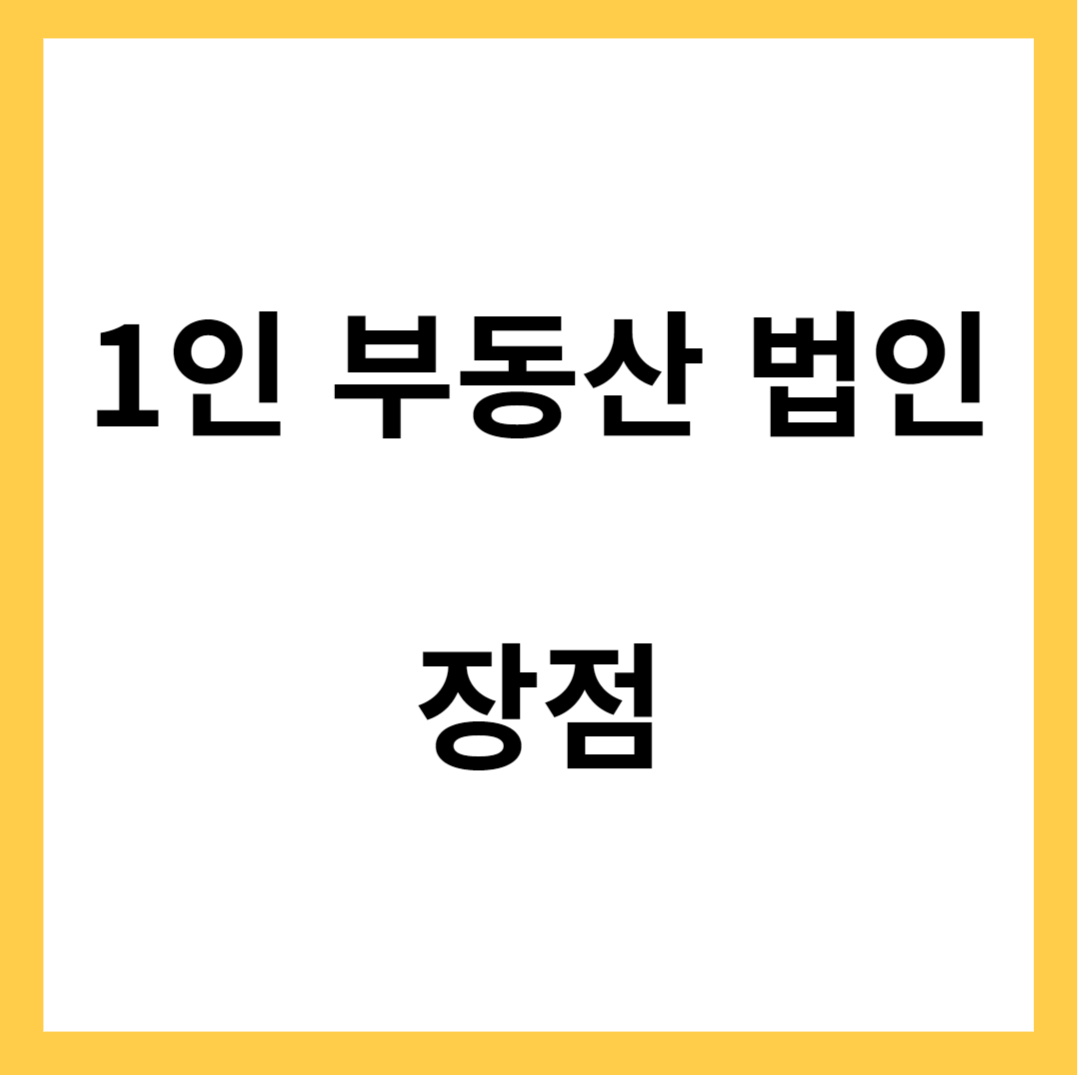 1인 부동산 법인- 법인의 장점