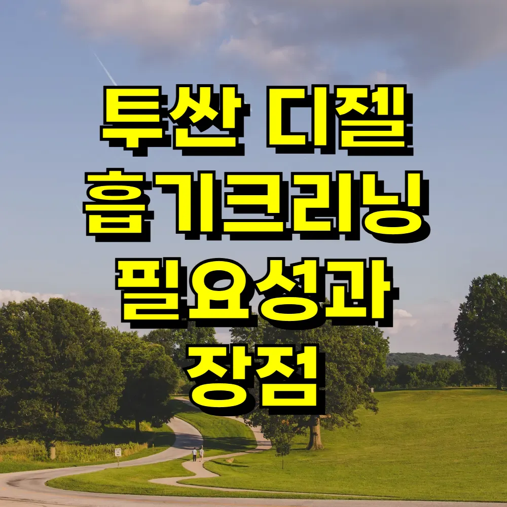 투싼 디젤 흡기크리닝 필요성과 장점